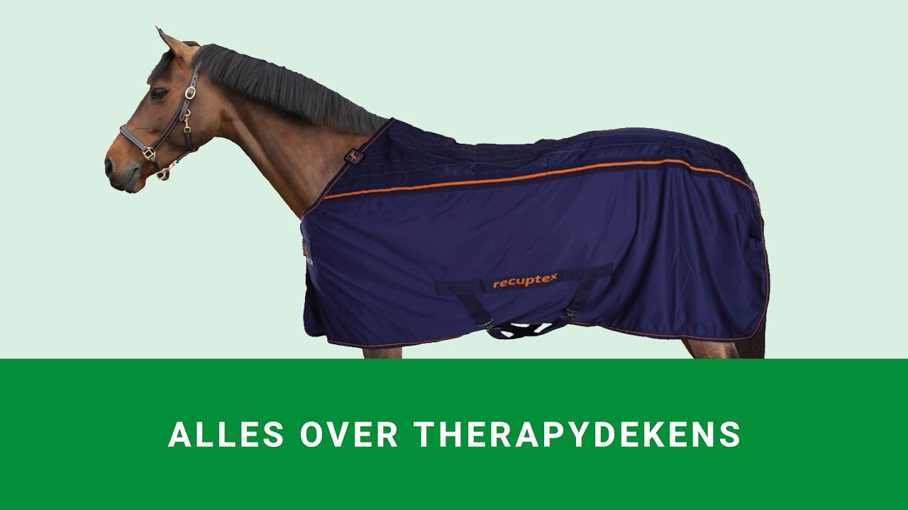 Alles over therapydekens!