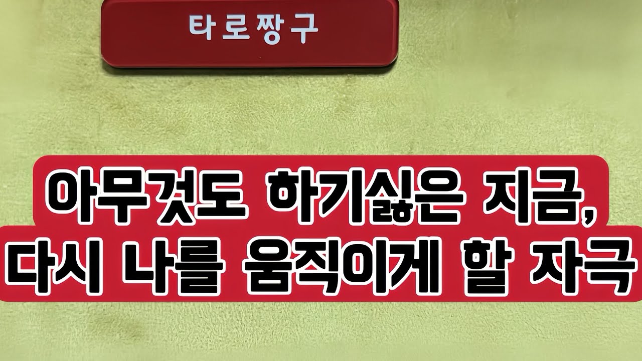 [타로짱구] 희망고문 없는 현실직시 타로