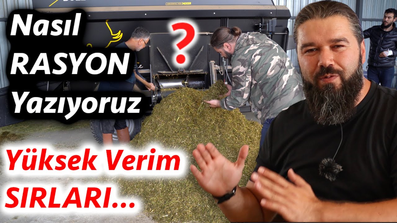 RASYON NASIL HAZIRLANIR ? (Hayvan Besleme)