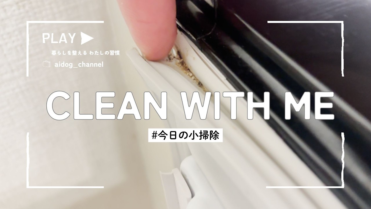 【今日の小掃除】ここ、見てる？冷蔵庫パッキン