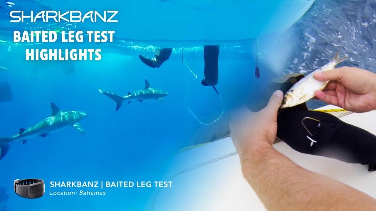 Sharkbanz Baited Leg Test Compilation - Proven Shark Deterrent