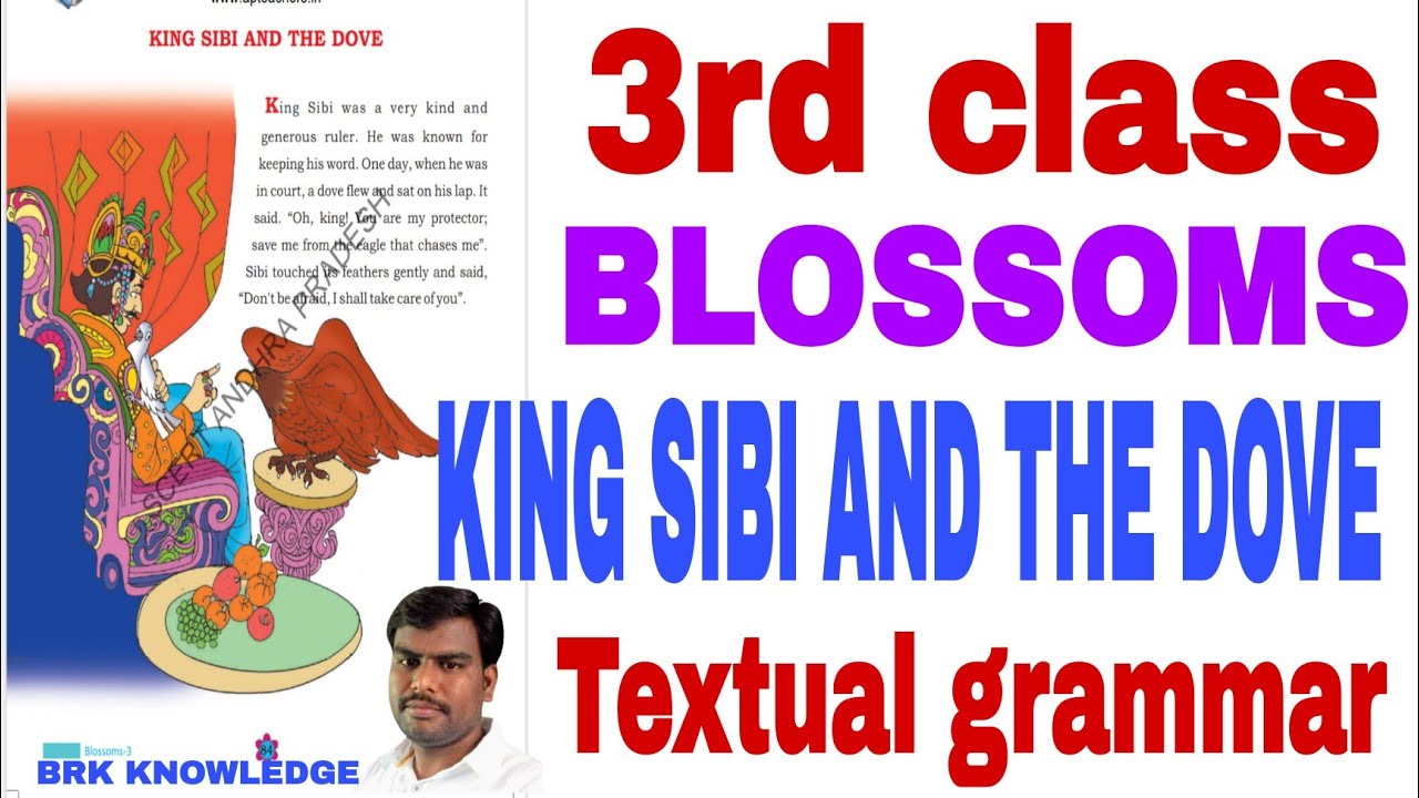 3rd class Blossoms 8th unit | KING SIBI AND THE DOVE LESSON TEXTUAL GRAMMAR