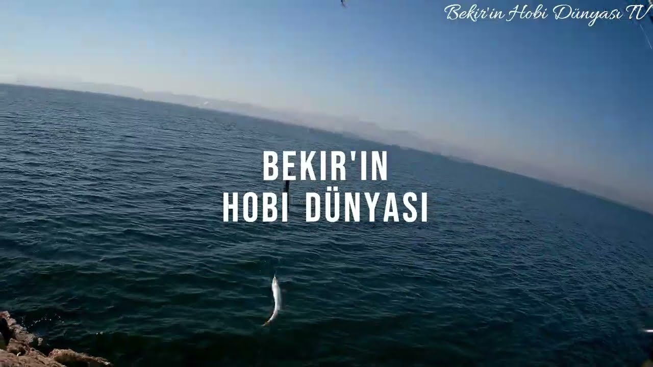 2024 Sabah Suyu İstavrit Avı
