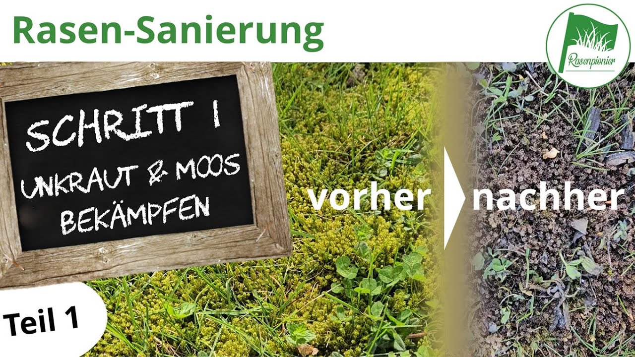 Rasen erneuern | Sanierung Schritt 1 - Unkraut und Moos bekämpfen (Teil 1)