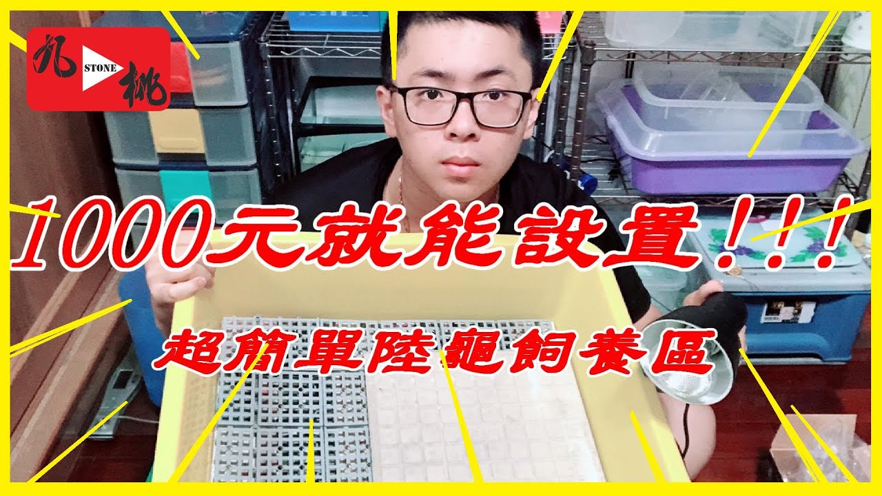 【新手必看】超簡單布置陸龜飼養區【九桃養爬蟲】