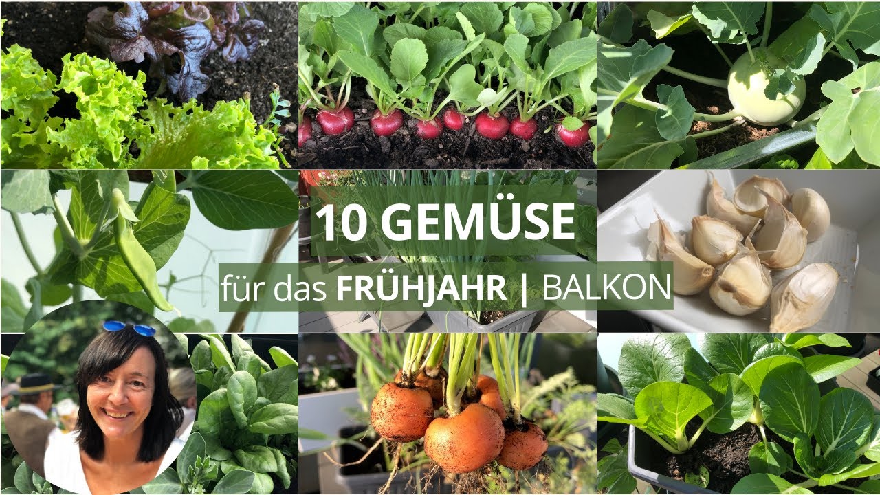 10 GEMÜSE, die du im FRÜHJAHR auf dem BALKON anbauen kannst