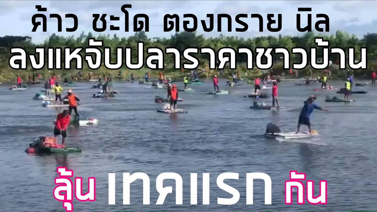 7 กุมภาพันธ์ 2569#ลงแหจับปลาราคาชาวบ้าน สนุกสนานกับ100เซียนแห ตะลุย ค้าว ชะโด ตองกราย ลุ้นเทคแรกกัน