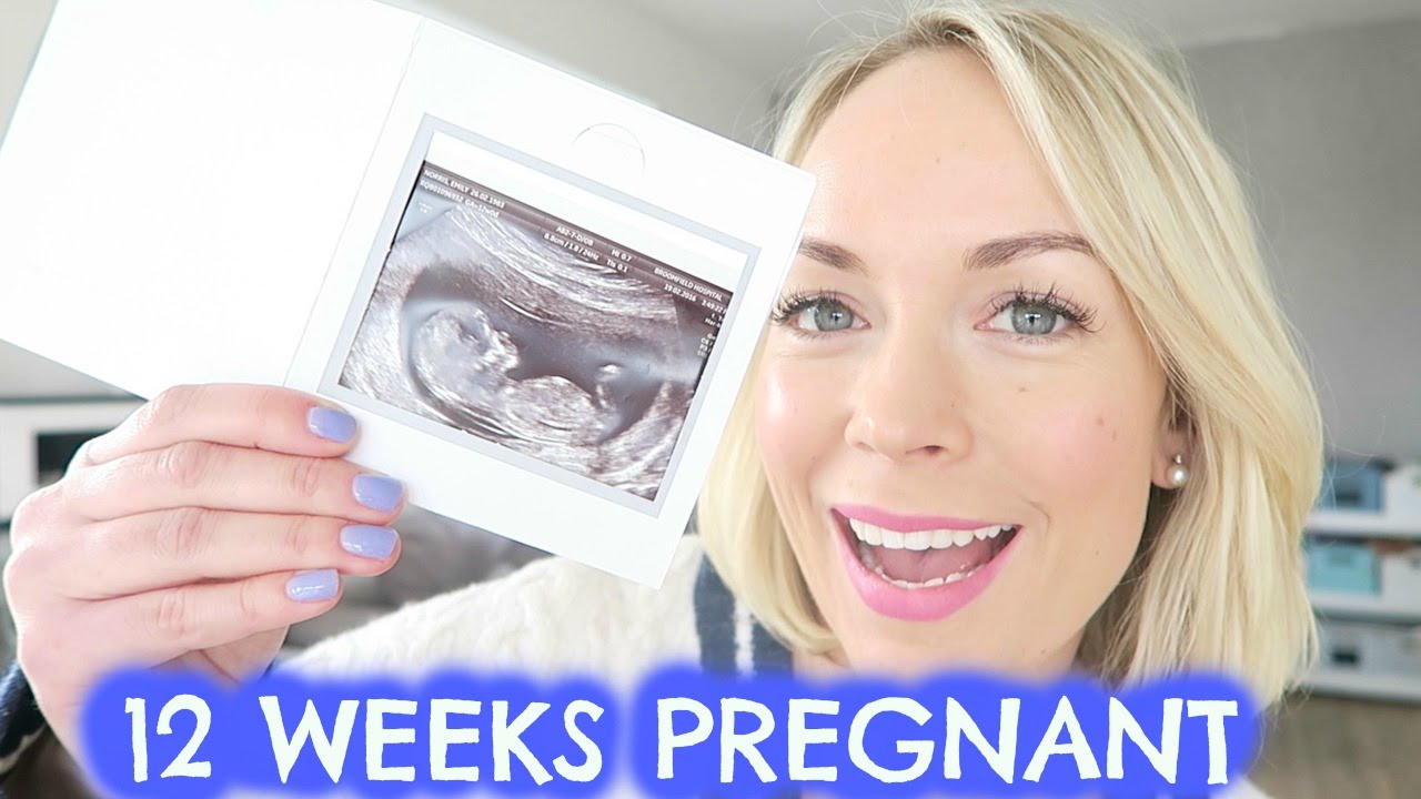 12 WEEKS PREGNANT UPDATE  |  EMILY NORRIS
