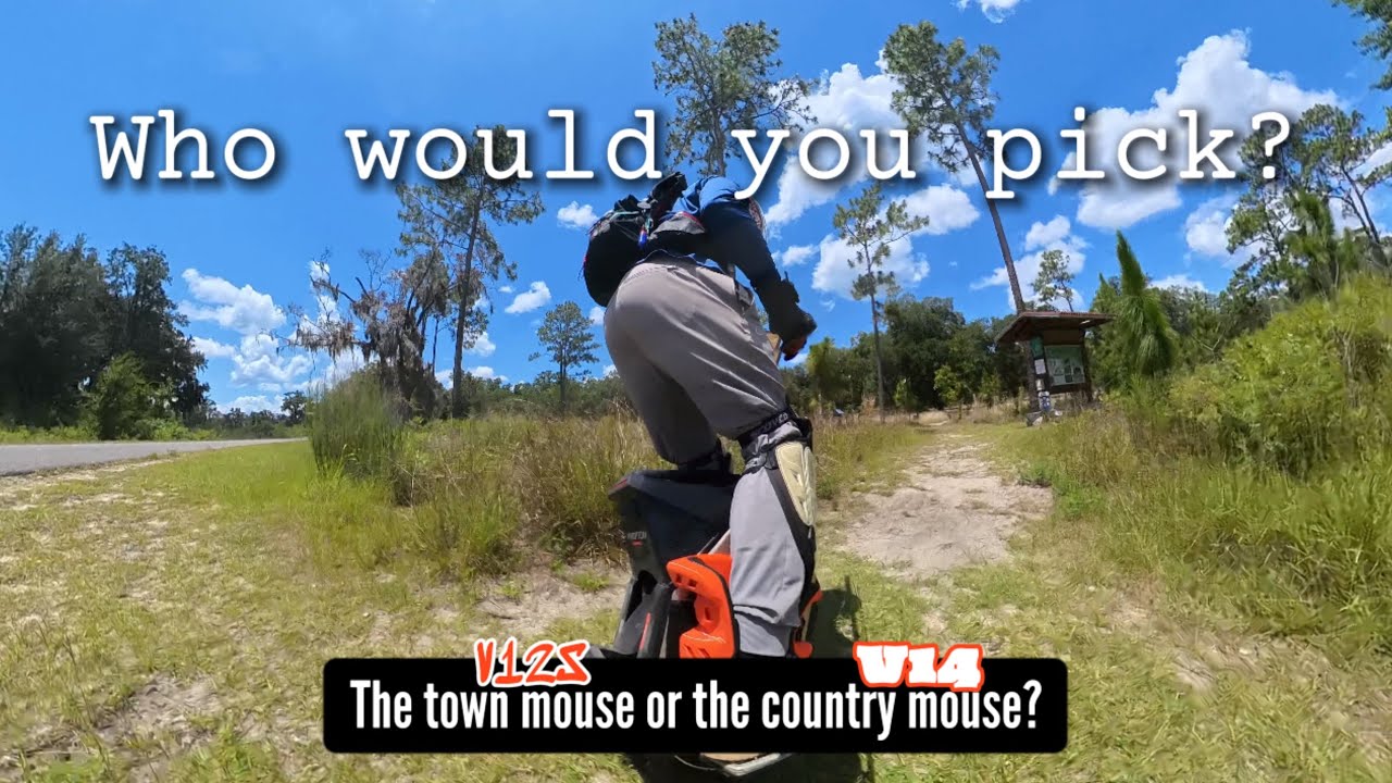 Town Mouse vs Country Mouse: V14 vs V12S