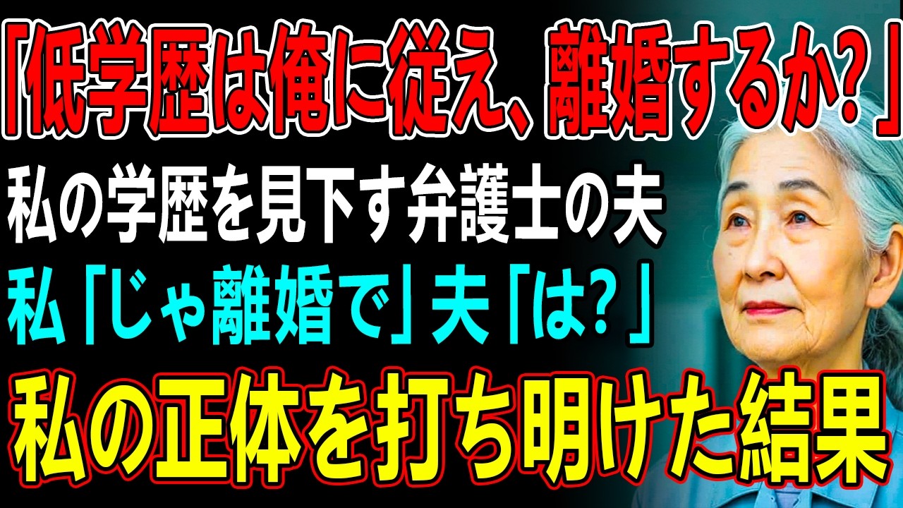 結婚して35年間、私の学歴を見下す弁護士の夫「低学歴は俺に従えばいいんだよ。離婚するか？お？お？」私「じゃ離婚で」夫「は？」私の正体を打ち明けた結果