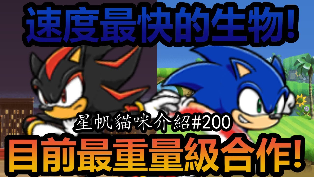 《貓咪大戰爭》日版全新合作！速度最快的一次！ | 星帆貓咪介紹
