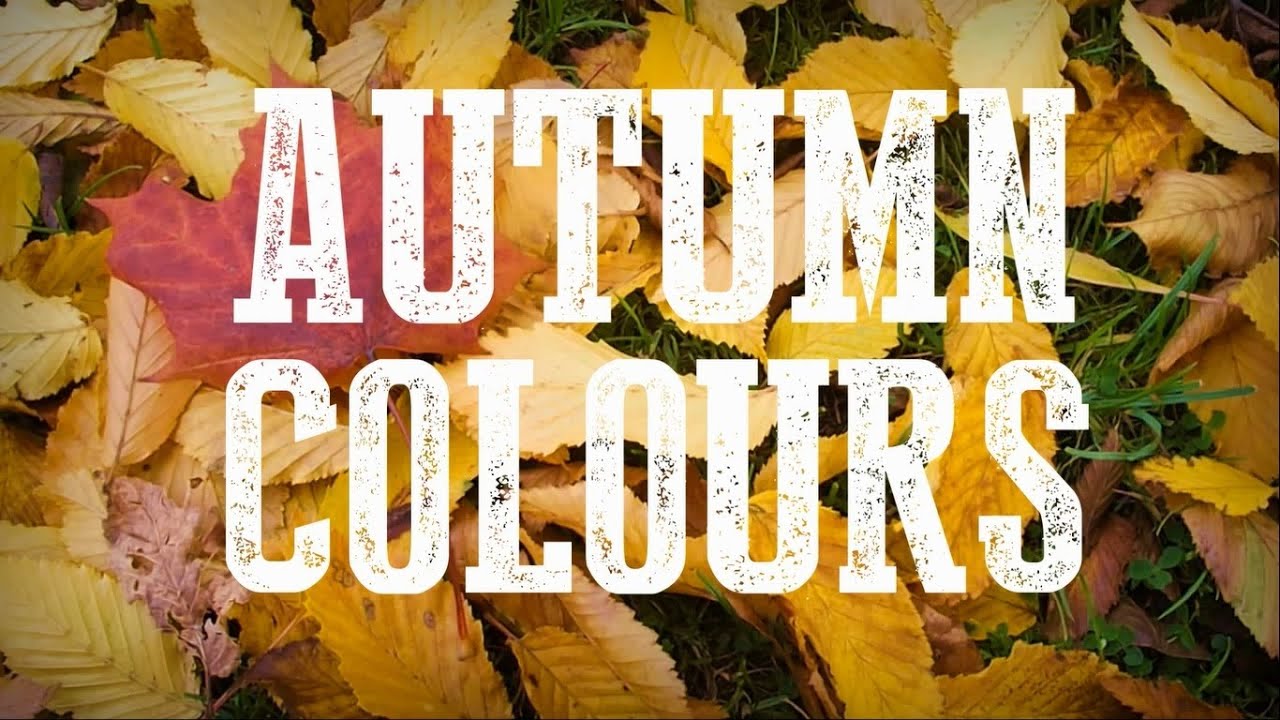 Autumn Colours - Around Leicestershire