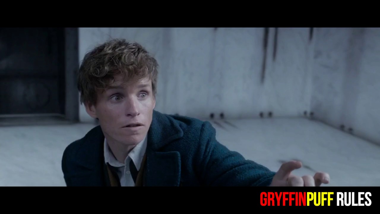Newt & Tina || Top 10 Moments || Fantastic Beasts and Where to Find Them