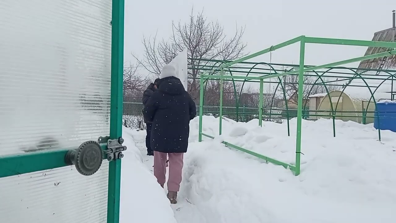 Зимняя дача. Не сидится дома. Накрываем теплицу. #поликарбонат #зима #позитив #теплица#своимируками 