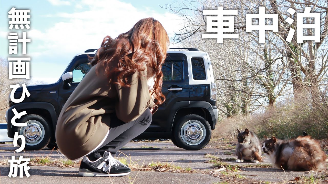 ［車中泊］無計画のひとり旅。野良猫と出会った車中泊／car camping