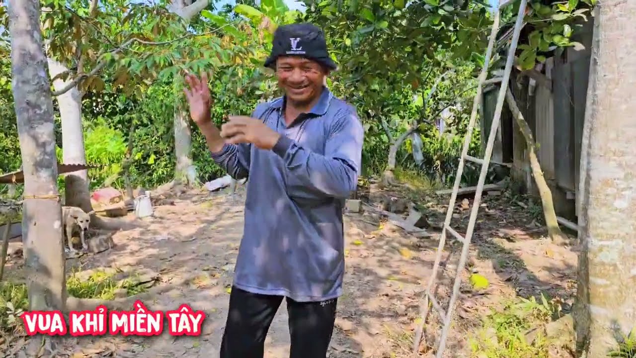 Hồi hộp !!! Vua khỉ cưa cây Cóc Cày đưa nhánh vô nhà.