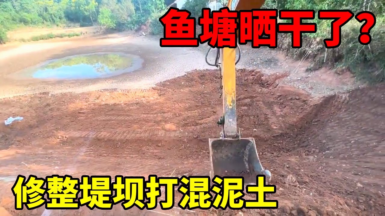 鱼塘都晒干了？挖机将堤坝的坡整一下。打上混凝土