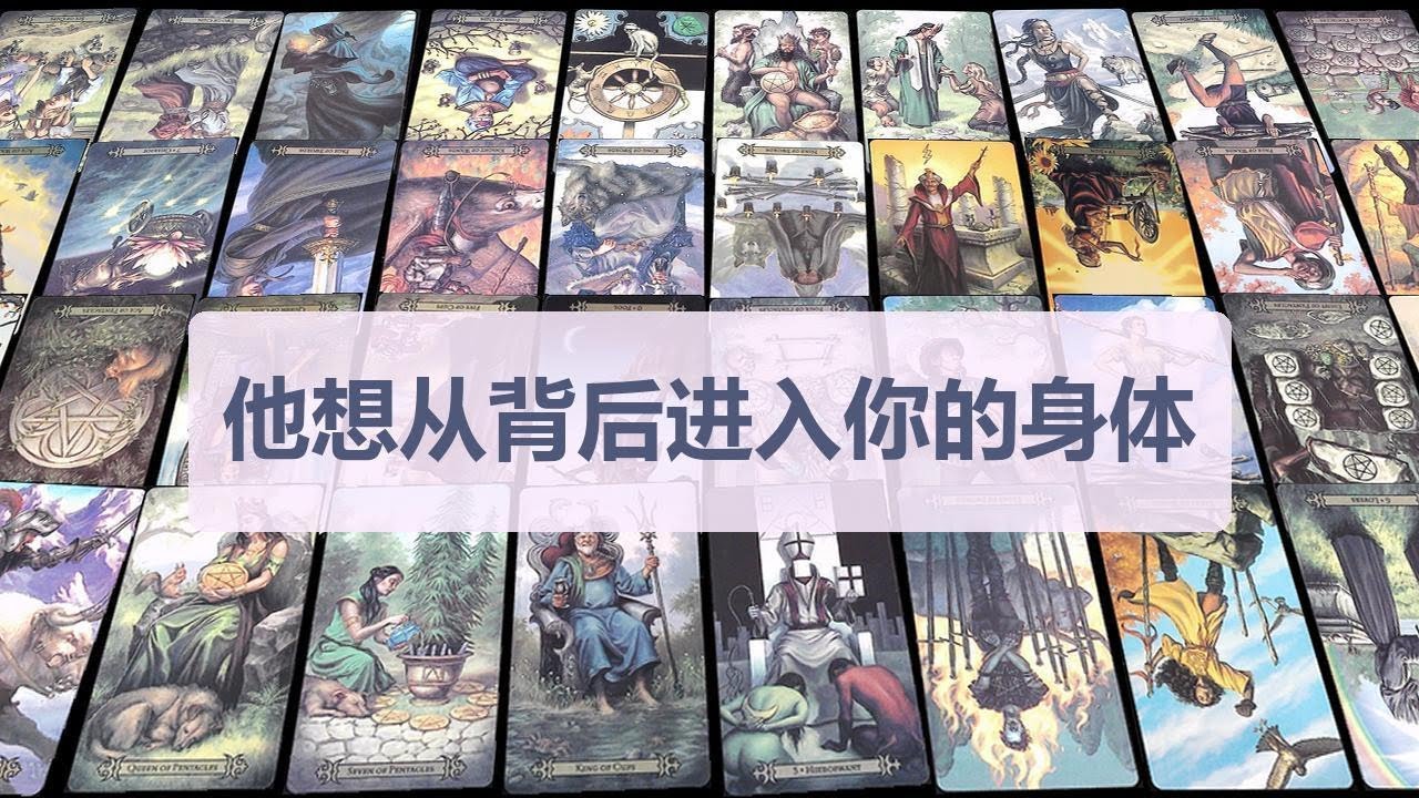Tarot✨他想从背后进入你的身体