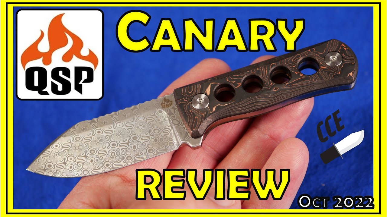 ?TOY or TOOL? - Full Review of the QSP Canary - QS141 (Mine is a Prototype)