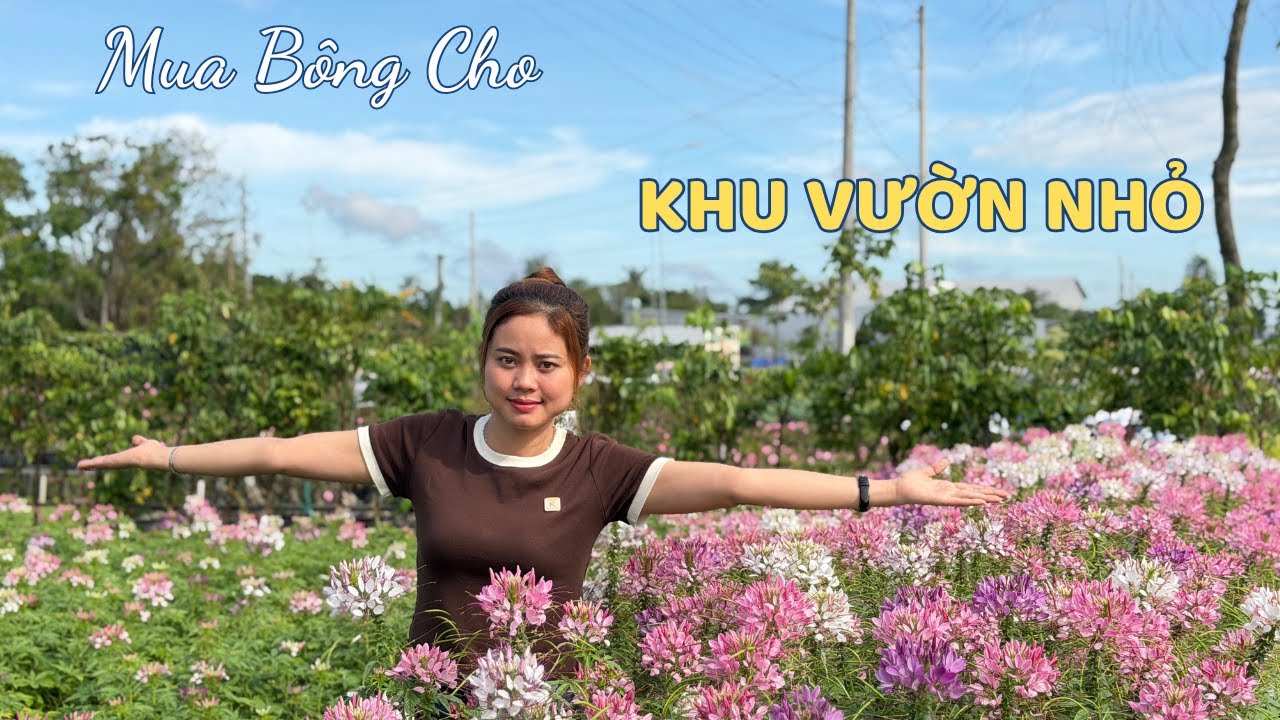 Mua Bông Cho Khu Vườn Nhỏ