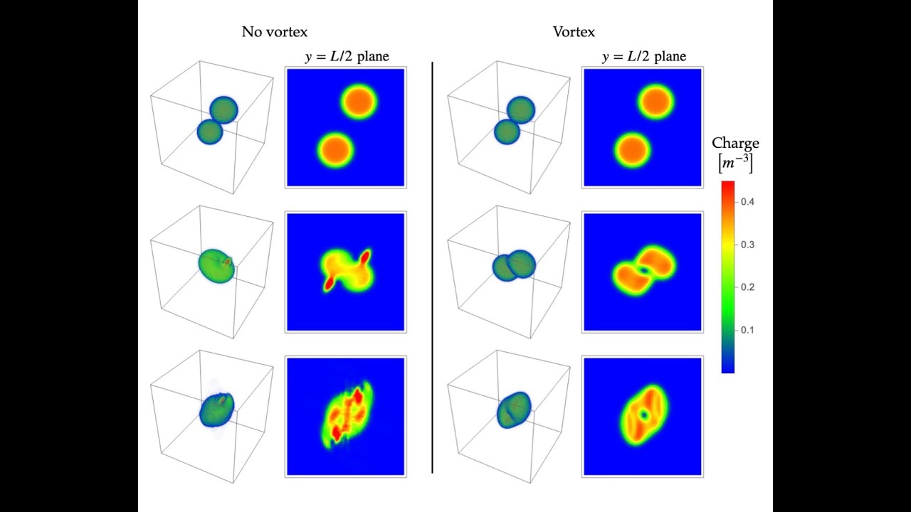 Michael Zantedeschi - Vortex effects in Q-balls: a theoretical laboratory for merging black holes?