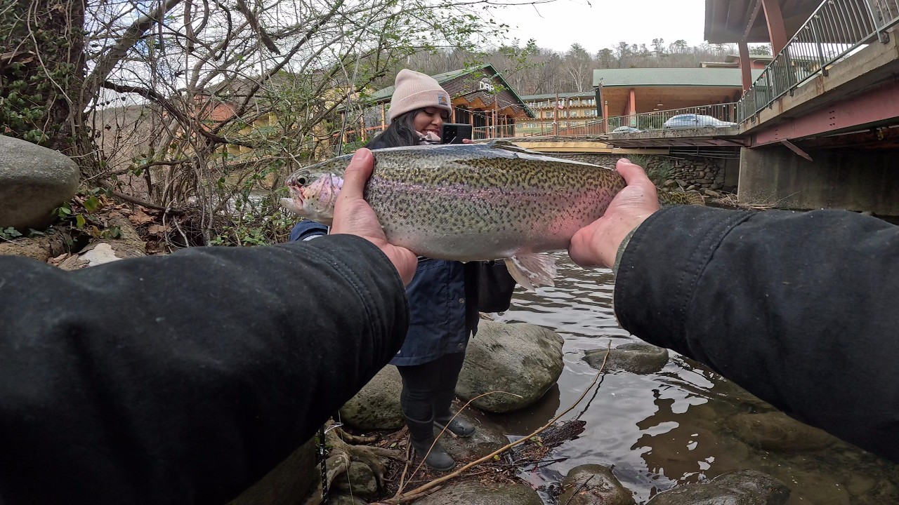 Fishing In An Urban Creek For Giant Trout (Downtown Trout Fishing)