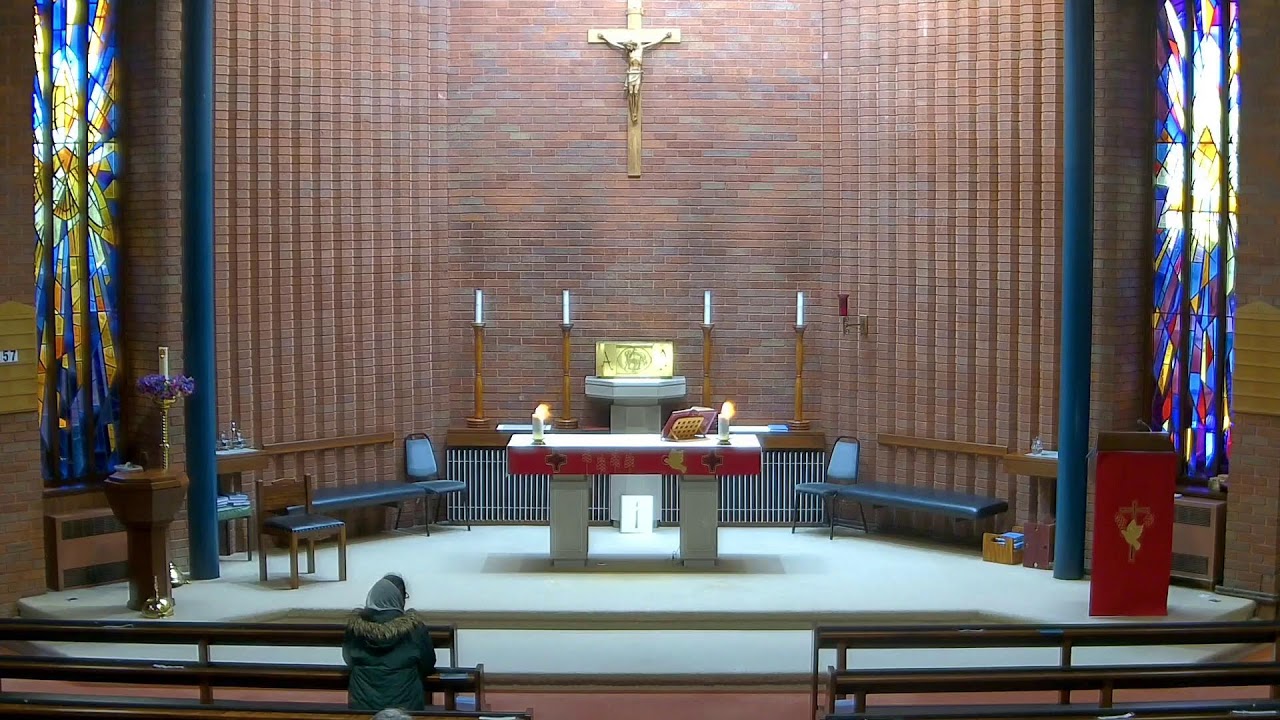 Friday 6th February, Mass at 9.30am, St Paul Miki and companions, martyrs of Japan