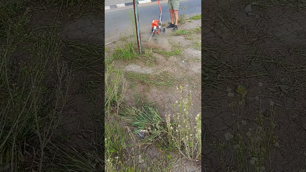 Clean-up Clips #cleanuptime #comunity #fatherandsonbond #needsponsors #transformation