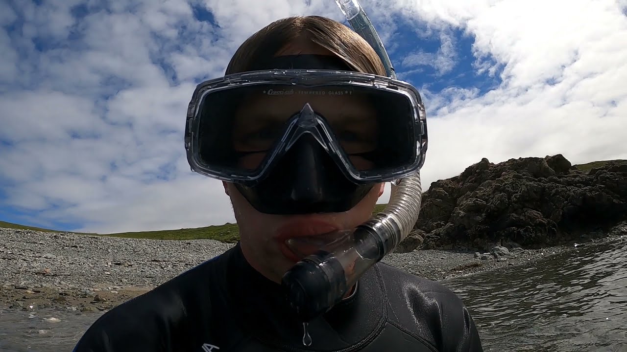 Shore Dive : Anglesey - North Wales
