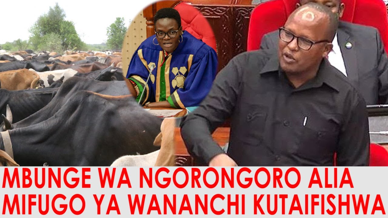 MAJONZI ; MBUNGE WA NGORONGORO ALIA MIFUGO ZAIDI YA 900 YA WANANCHI KUTAIFISHWA NA TANAPA