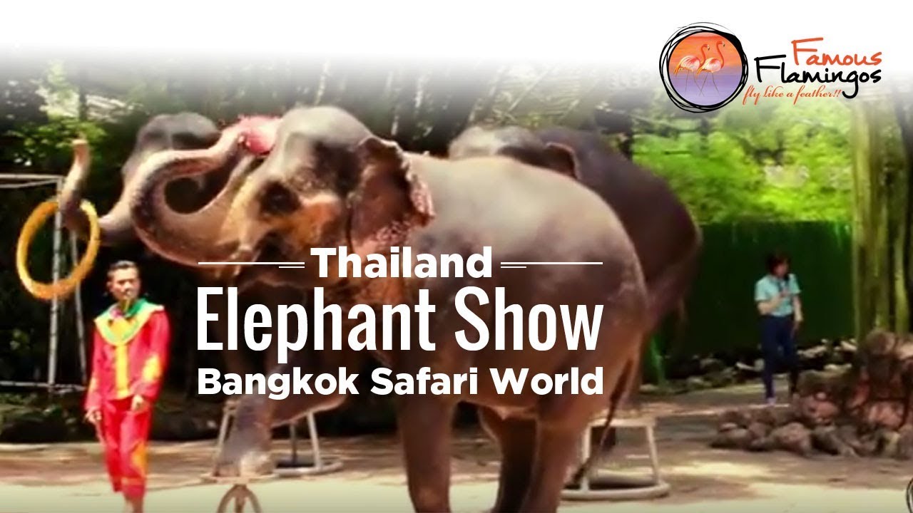 Elephant Show, Bangkok Safari World, Thailand