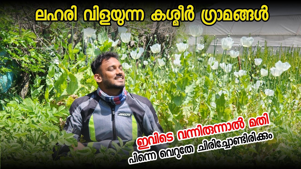 INB-13 ലോകത്തിലെ ഏറ്റവും വീര്യം കൂടിയ ലഹരിച്ചെടികൾ കൃഷി ചെയ്യുന്ന ഗ്രാമങ്ങൾ