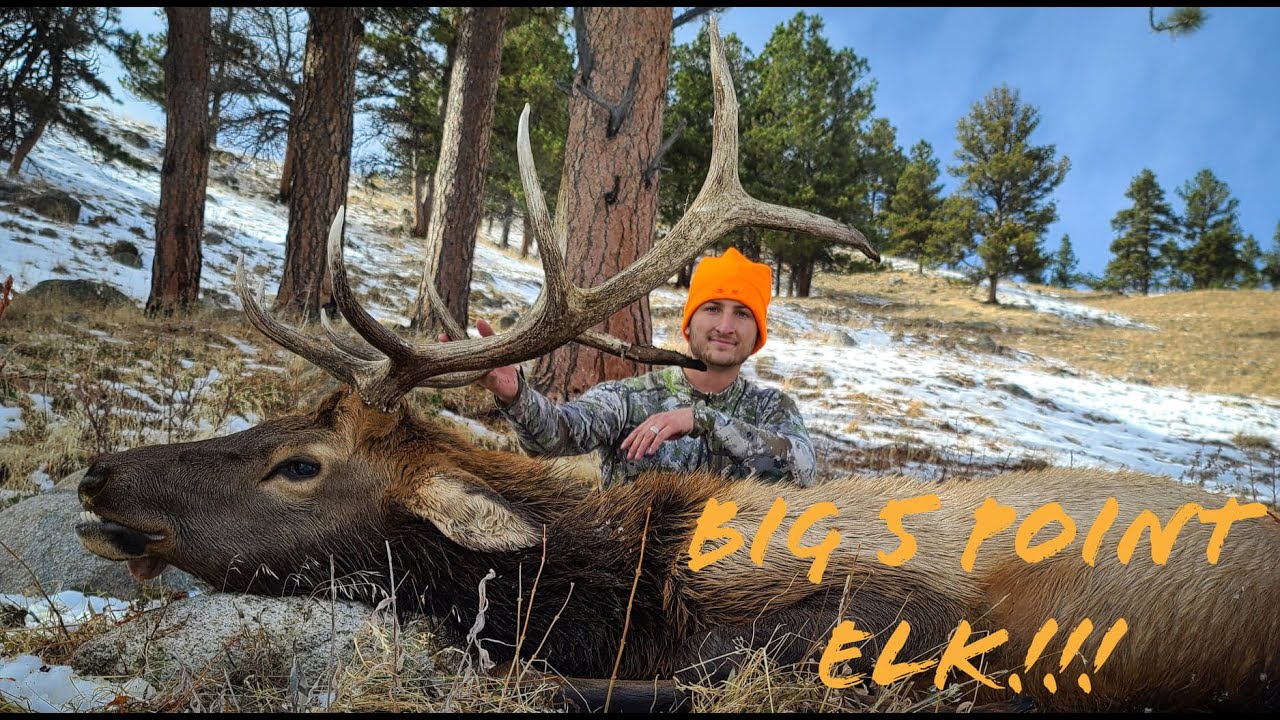 WYOMING ELK HUNT 2020 PUBLIC LAND! MY FIRST BULL! 5 POINT BULL ELK!!
