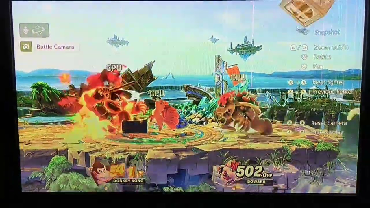 donkey Kong vs Bowser 