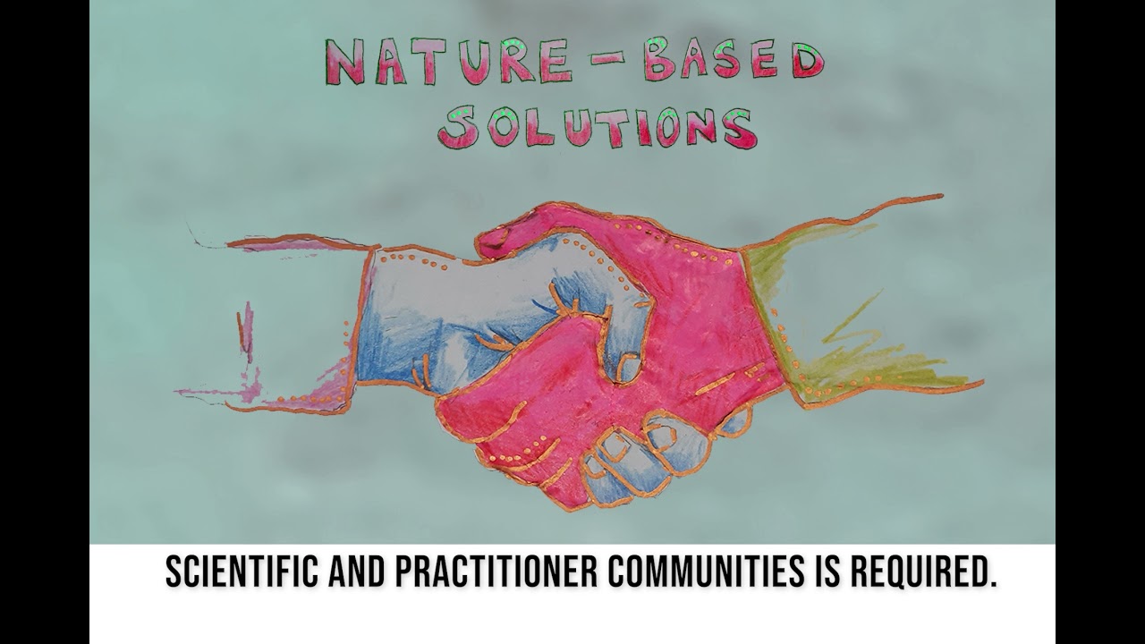 The relationship between biodiversity and climate