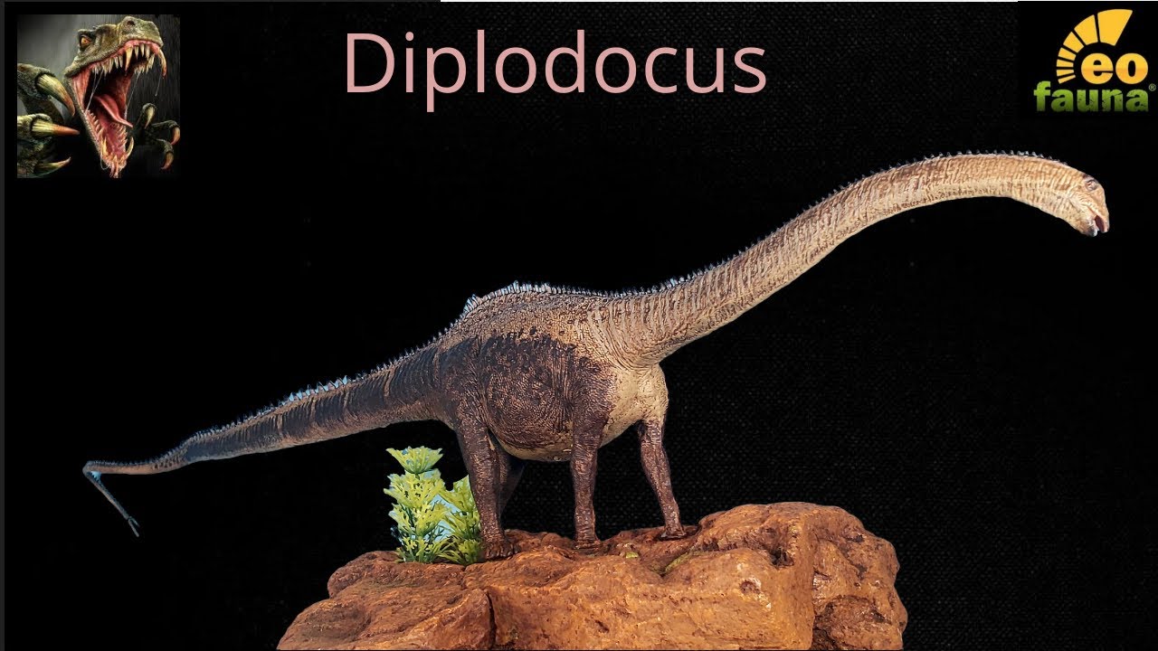Eofauna Diplodocus Review!