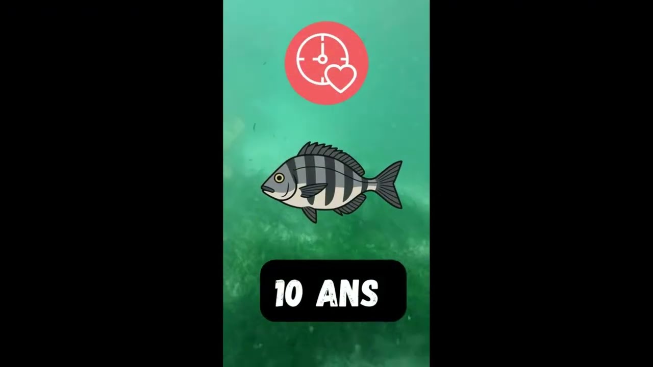 10 Astuces De Pêche a Ne Pas Rater