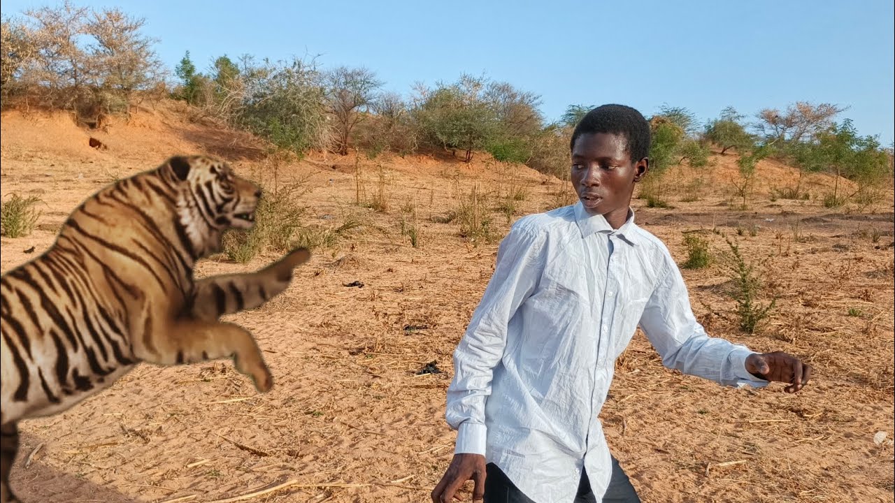Niger🇳🇪 film drama montage #fyp #viral 