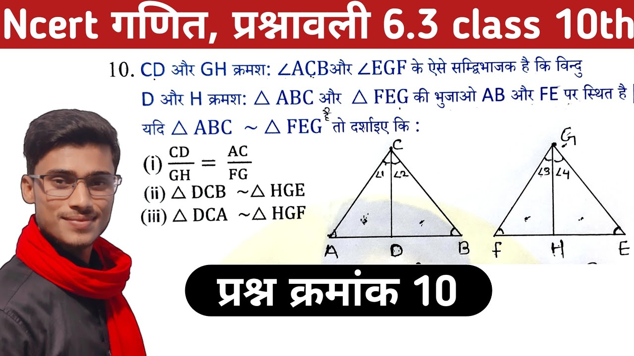 class 10th math chapter 6 exercise 6.3 question number 10||प्रश्न क्रमांक 10||triangle by pankaj sir