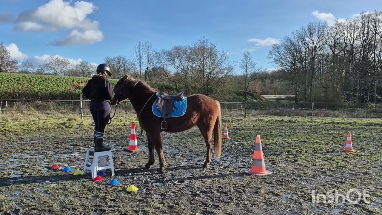 Louxor er Irina. Montée 2 - manche 1 equifeel cavalgo 2026