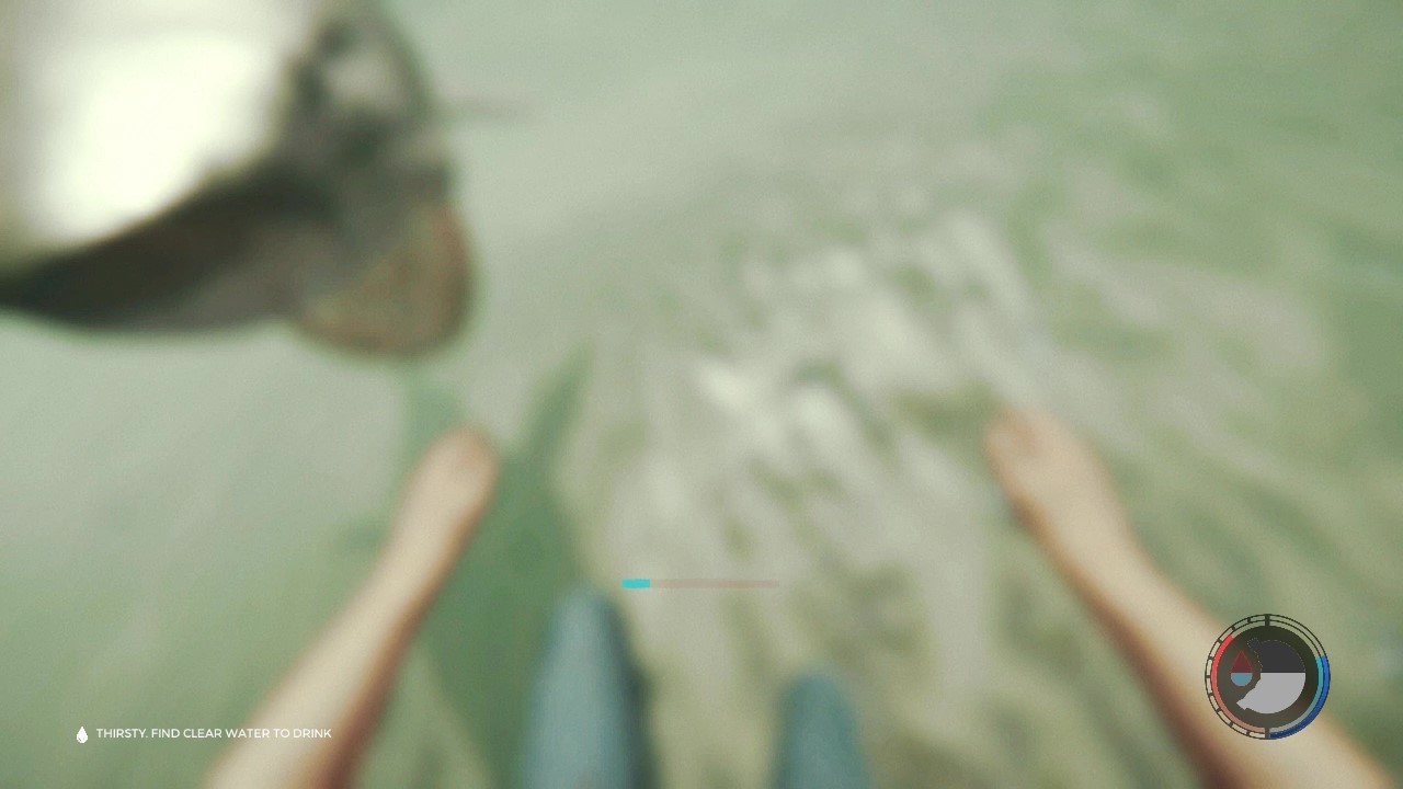 A cute shark tries to get my attention...TWICE!!