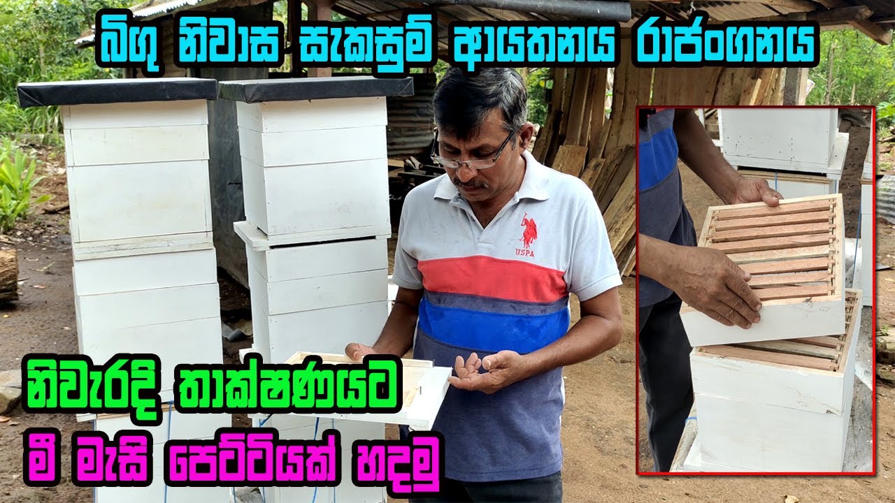 නිවැරදි තාක්ෂණයෙන් යුතුව මී මැසි  පෙට්ටියක් සාදාගමු | mee masi petti hadana hati| mi masi palanaya