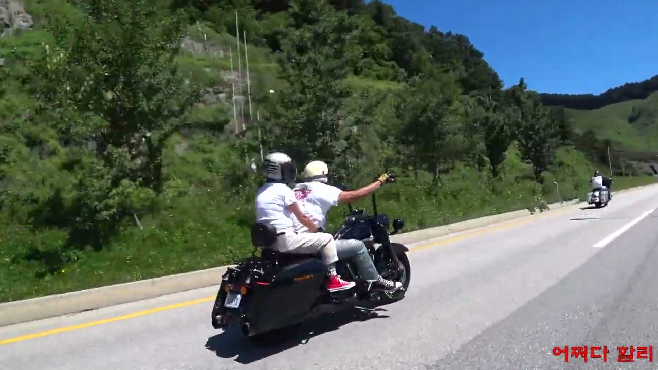 어쩌다할리 220828 유명산산골농원
