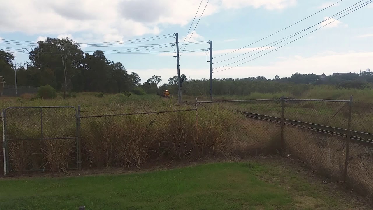 Aurizon 2309D & 2366D Westbound  at Wynnum North 09/10/2018