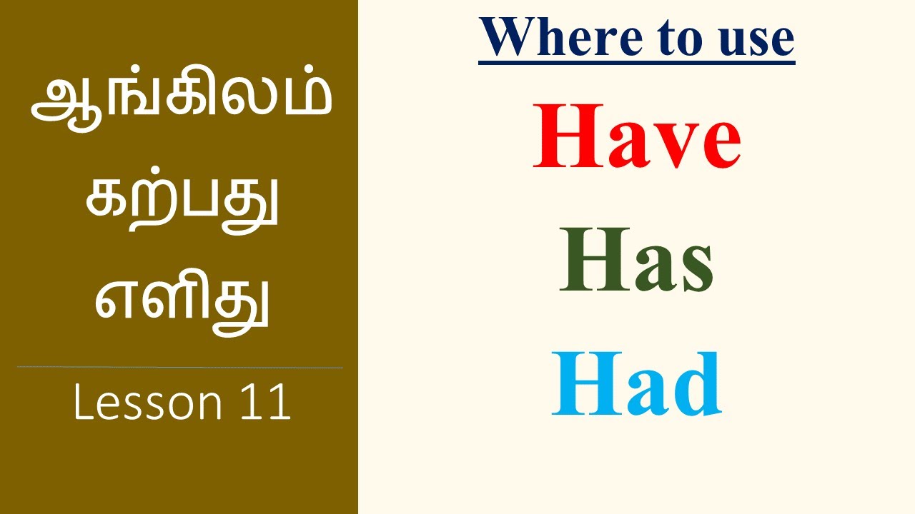 Have, Has Had | Basic English Grammar | Learn English Through Tamil