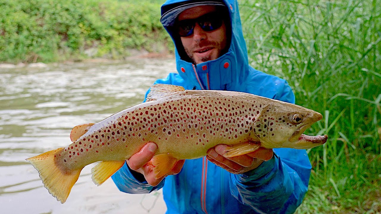 SPINNING alla TROTA in TORRENTE - River Trout Fishing