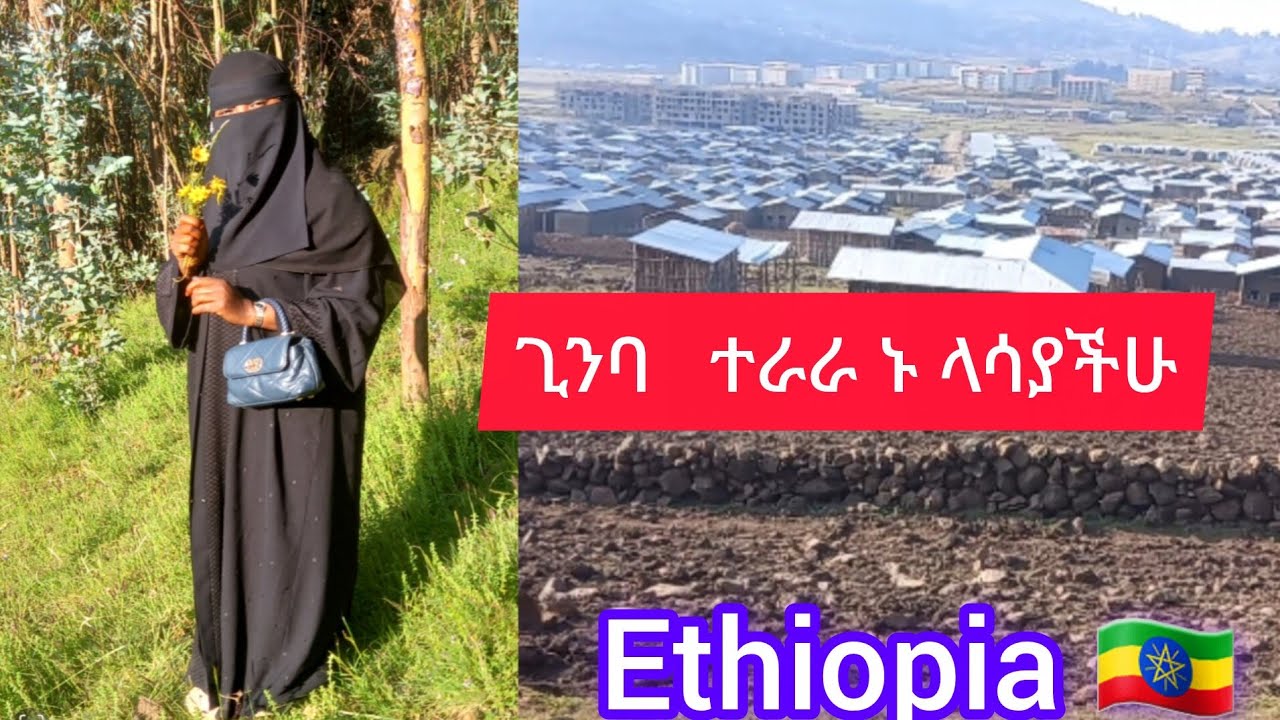 ጊንባ#ተራራን ኑ#ላሳያችሁ#vlog#veido #Ethiopia 