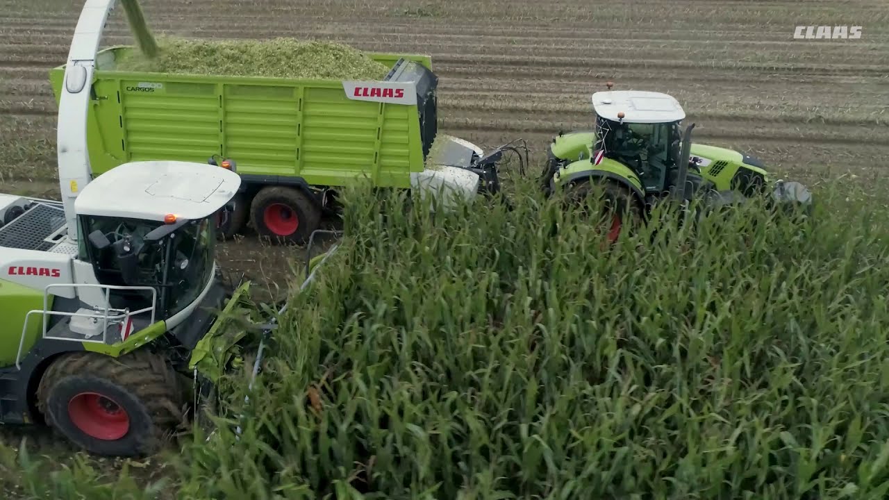 CLAAS JAGUAR 960 SHREDLAGE - Stadnina Koni w Prudniku
