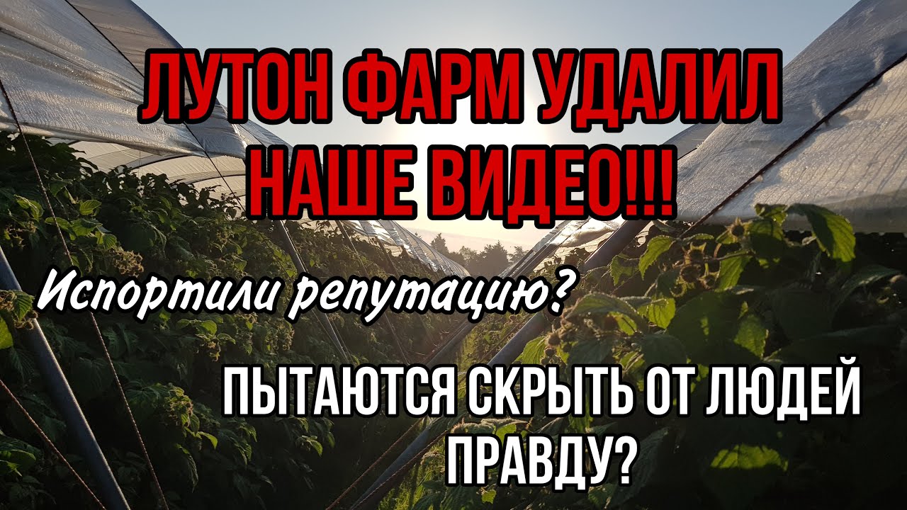 Lutton Farm УДАЛИЛ наше видео!!! Пытаются скрывать ПРАВДУ? Испортили себе репутацию?