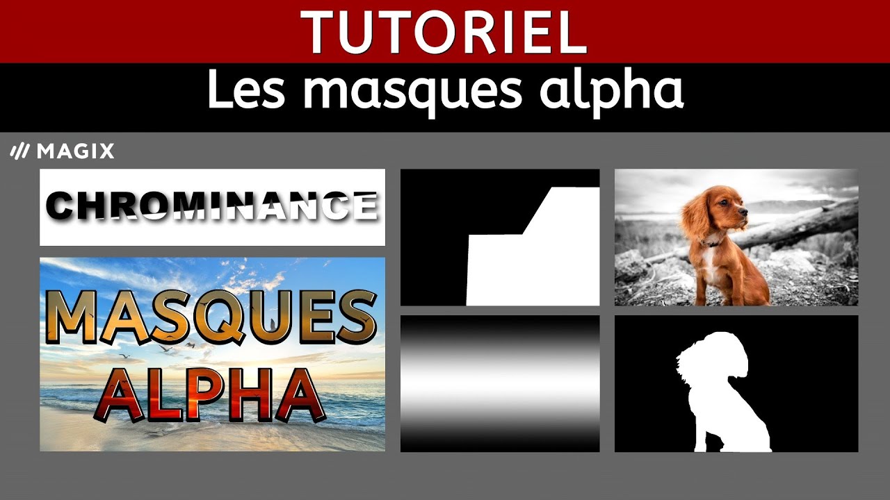 Les masques alpha Tutoriel Magix Video Deluxe Holivar